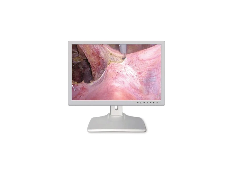 Màn hình nội soi phẫu thuật 24 inch E240EG