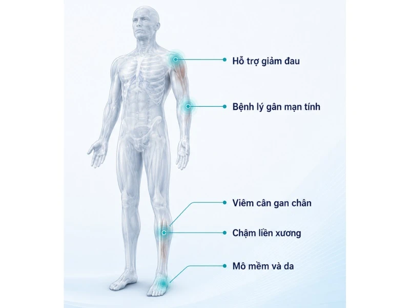 Máy sóng xung kích hỗ trợ giảm đau trong điều trị cơ xương khớp